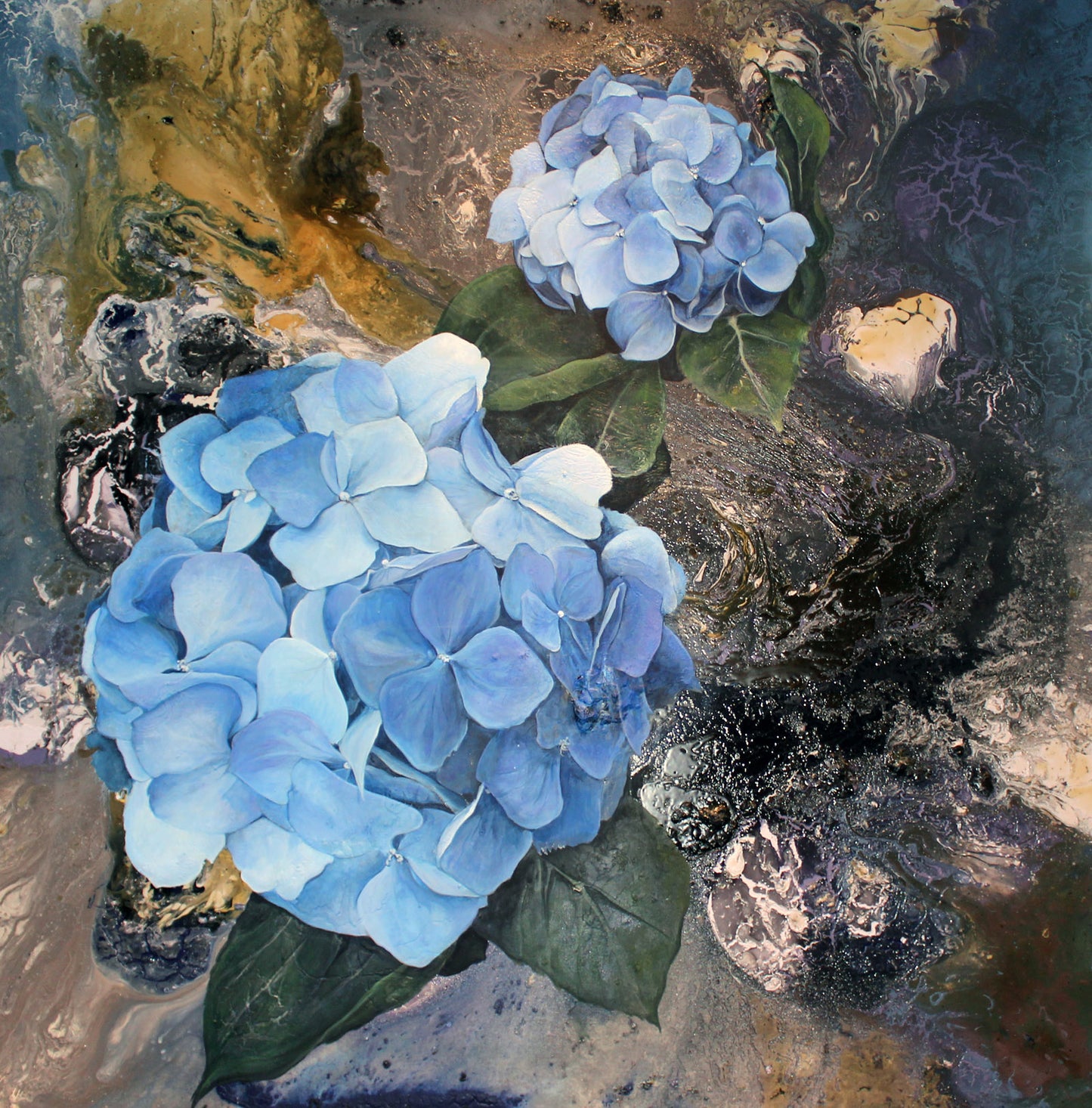 Blue Hydrangea