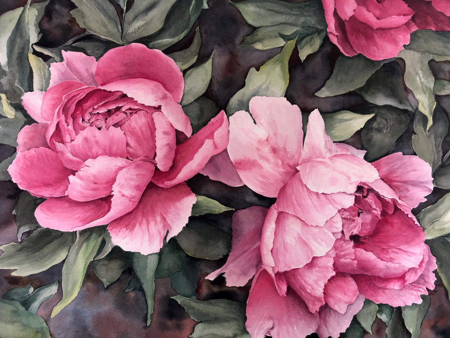 Wanda's Peonies