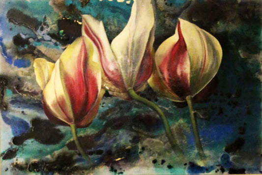 Steph's Tulips